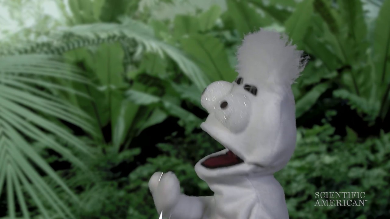 Are You a Puppet to Your Emotions ?